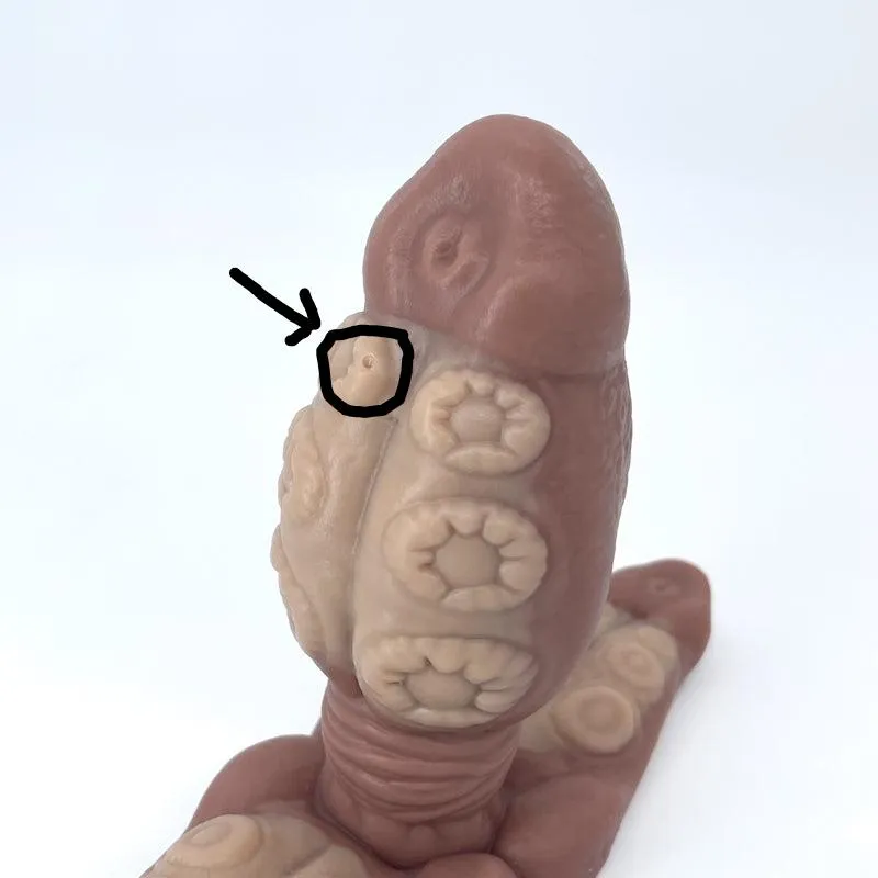 Tentickle Skwee Large Plug Large Base buttplug soft