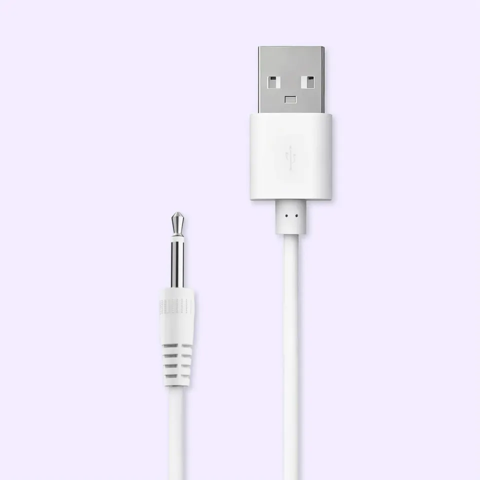 Beisar 2.5mm DC oplaadkabel wit snellader 5V