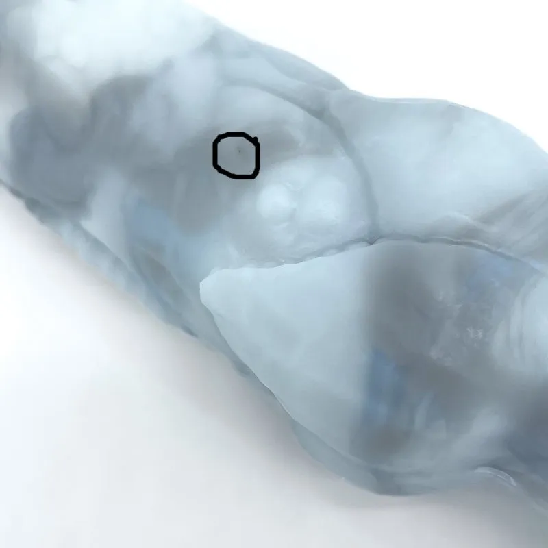 Tentickle Tendriss dildo small Winter Marble flop dieptetrainer