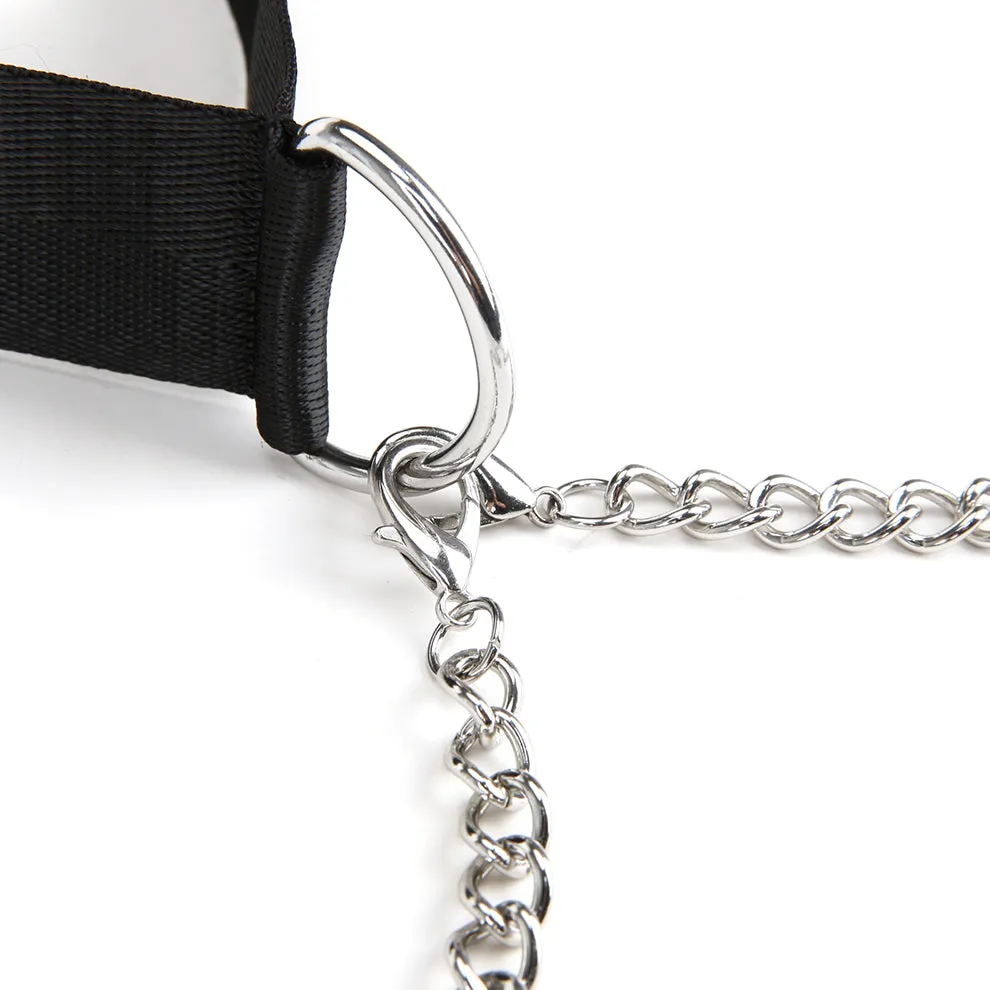 Lux Fetish Collar Nipple Clips tepelklemmen verstelbaar