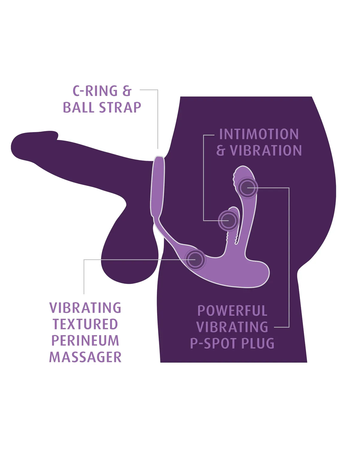 Pipedream Anal Fantasy Ass-Gasm IntiMotion anale vibrator