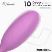 Intoyou Logan vibro-ei paars met app