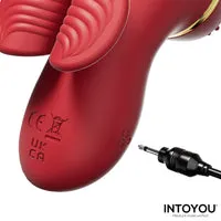 Intoyou Beeny clitorisstimulator met 4 opzetstukken