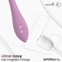 Intoyou vibratie-ei roterende balletjes paars met app